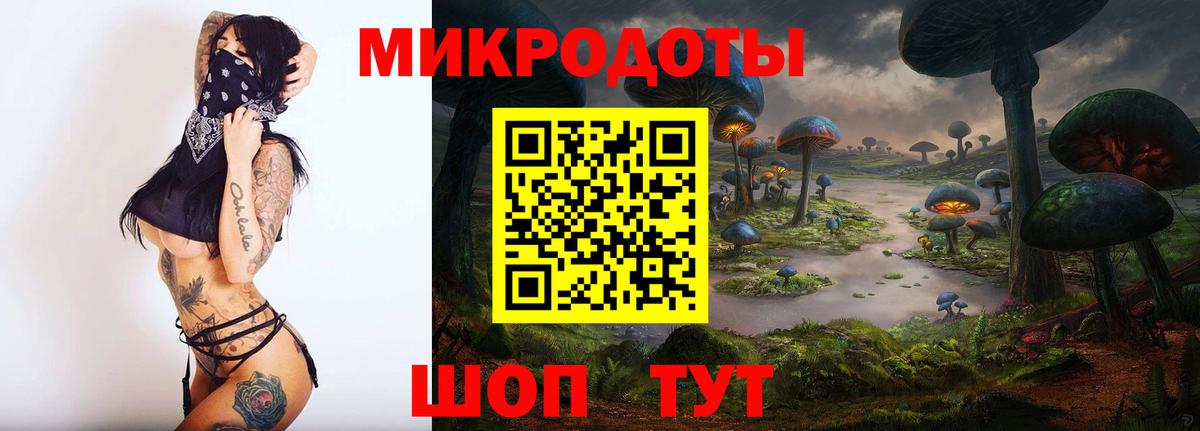Псилоцибиновые грибы MAGIC MUSHROOMS  Псилоцибиновые грибы Magic Shrooms  где купить наркоту  Ртищево  Вход с VPN 